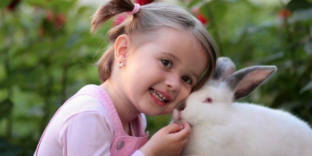 adorable-animal-baby-160933