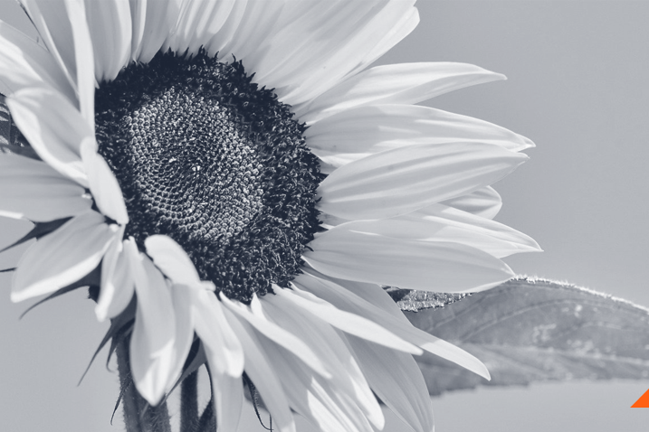 teisine-pagalba-ukrainieciams